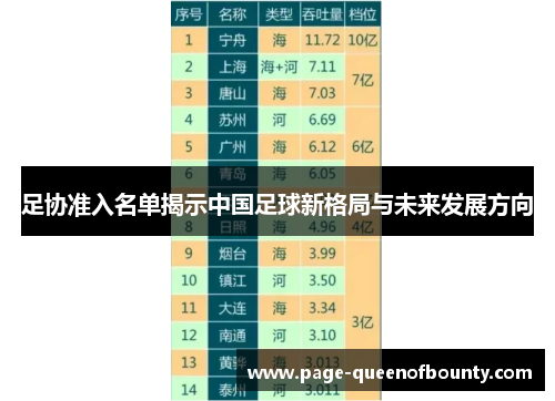 足协准入名单揭示中国足球新格局与未来发展方向